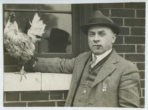 Humane Agent and Chicken