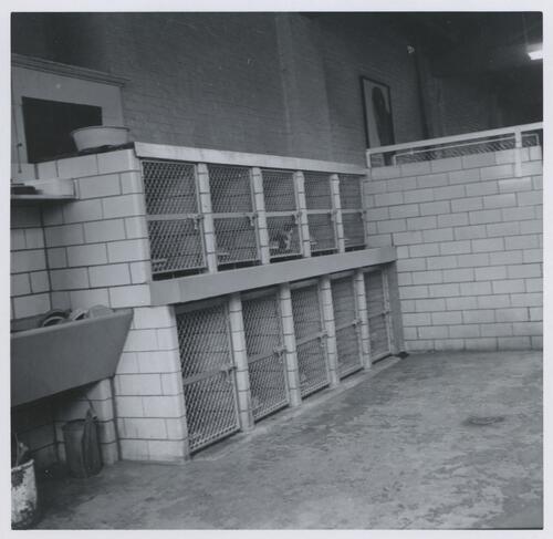 Humane Society Kennels
