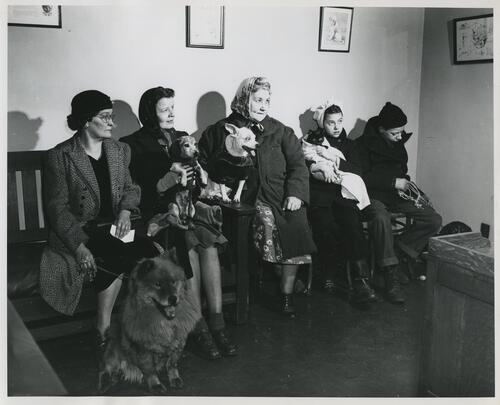 Free Clinic Waiting Room