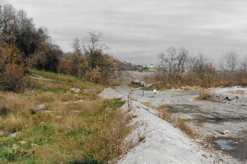 Path Through the Slag Dump Off Browns Hill Road