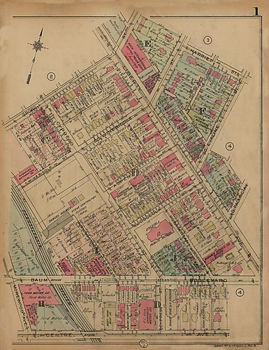 Bloomfield