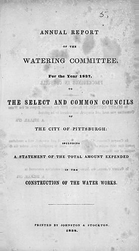 Annual report of the Watering Committee for the year ... to the Select and Common Councils of the city of Pittsburgh