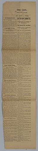 Newspaper article, "Complete List of Members of the Democratic County Organization"