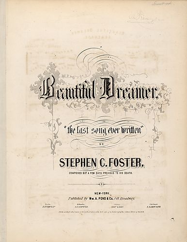 Beautiful dreamer