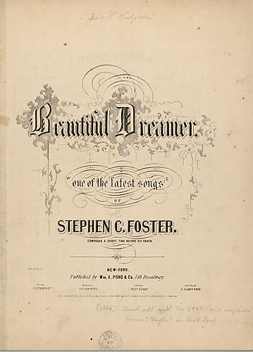 Beautiful dreamer