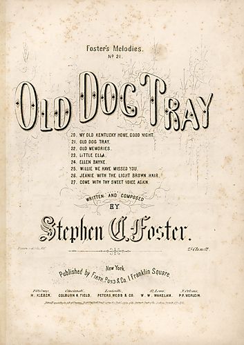 Old dog Tray