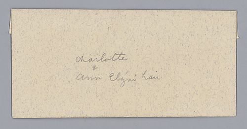 Hair of Charlotte and Ann Eliza