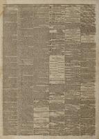 Pittsburg daily dispatch