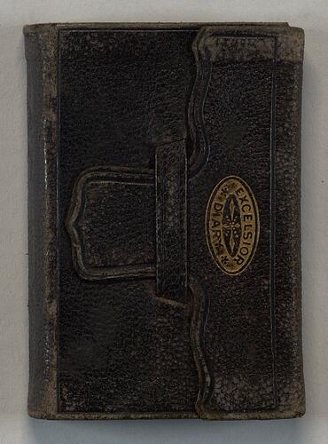 Daily Diary, 1884