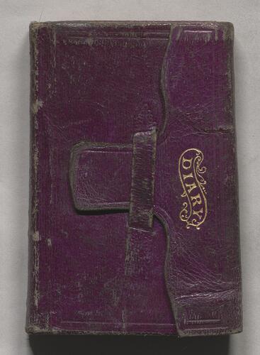 Daily Diary, 1873