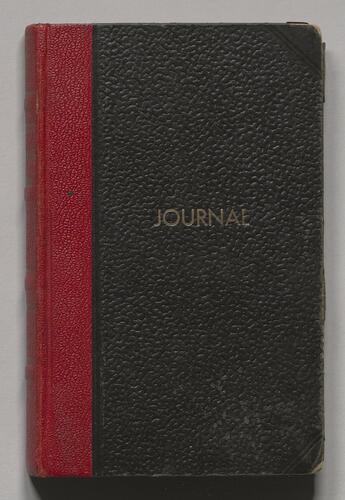 Diary of an Unidentified Irish Roman Catholic Priest