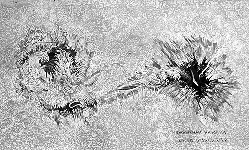 Sunspot drawing