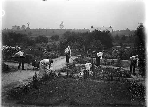 Group working in flowers