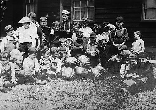 Watermelon Harvest