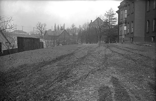 Southern End of Bialas Property