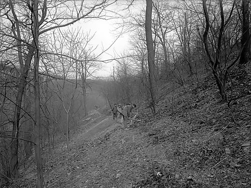 Bridle Path in Panther Hollow