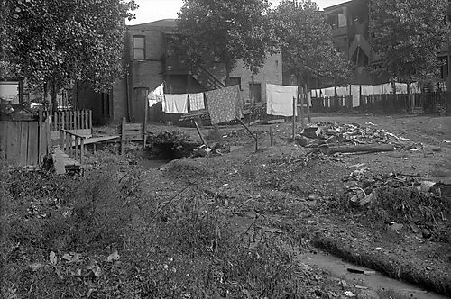 Nine Mile Run Condition