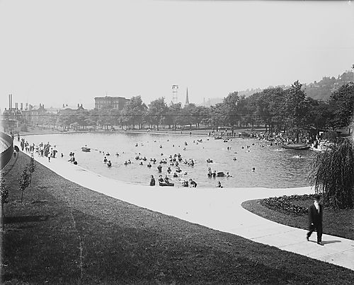 Swimming in West Park