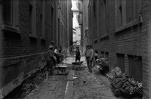 Scrip Alley Hump Cut