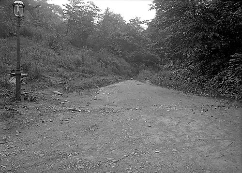 Forward Avenue