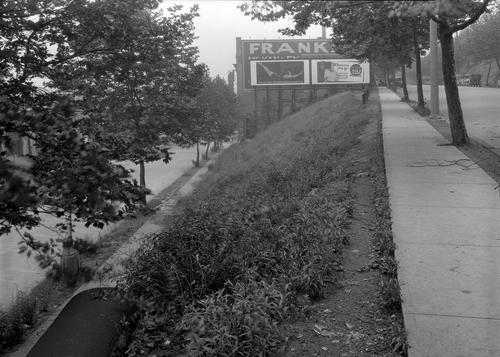 Forestry Division