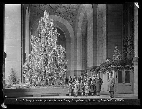 Municipal Christmas Tree