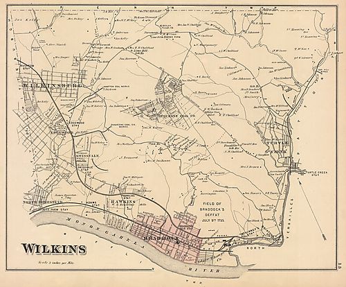 Wilkins