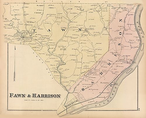 Fawn, Harrison
