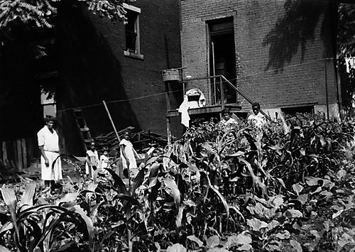 Better Neighborhood Garden