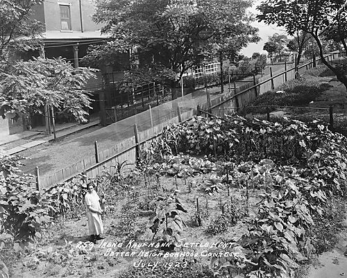 Better Neighborhood Contest