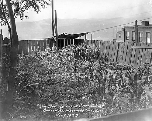 Better Neighborhood Contest