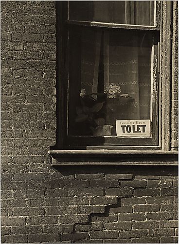 (Neighborhoods - Window, To-Let Sign)