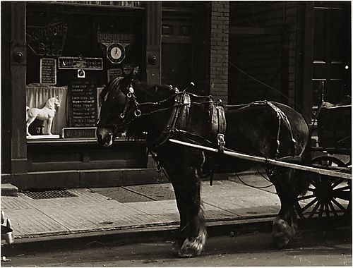 (Neighborhoods - Restaurant and Horse and Carriage)