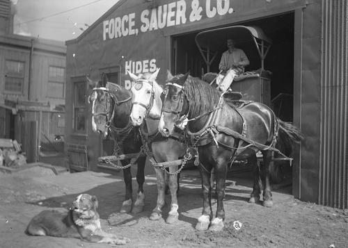 Force, Sauer & Company