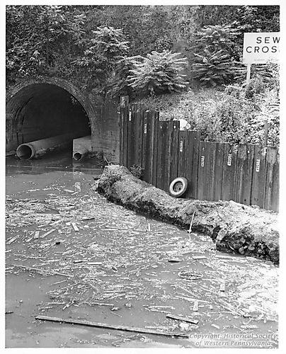 Pollution at Whitaker Run