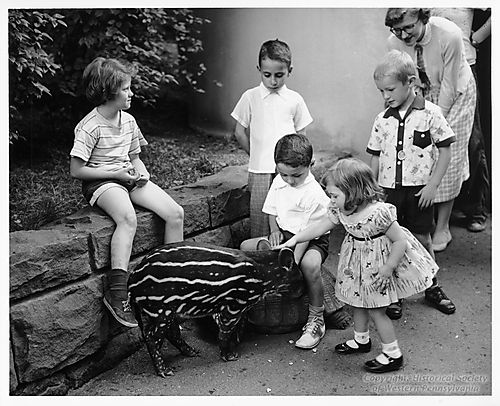 Children's Zoo Scene