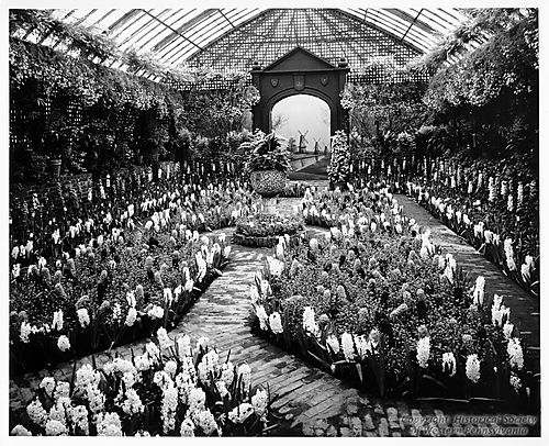 Spring Flower Show at the Phipps Conservatory