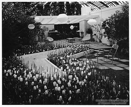 Spring Flower Show at the Phipps Conservatory