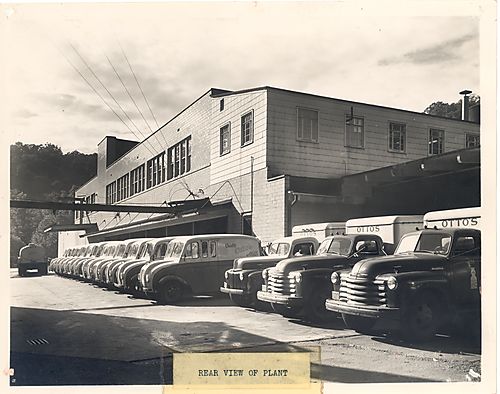 Rear View of Plant