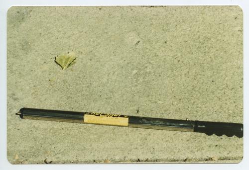 Highland Park Center Cattle Prod