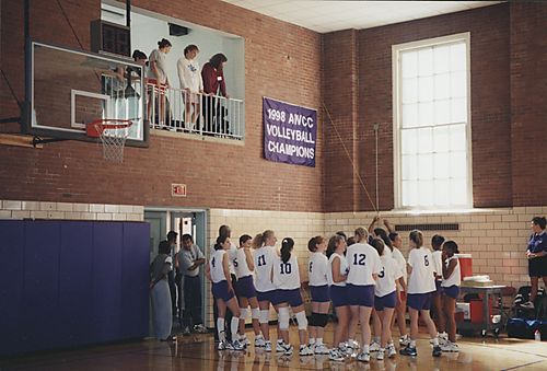 Volleyball Champions