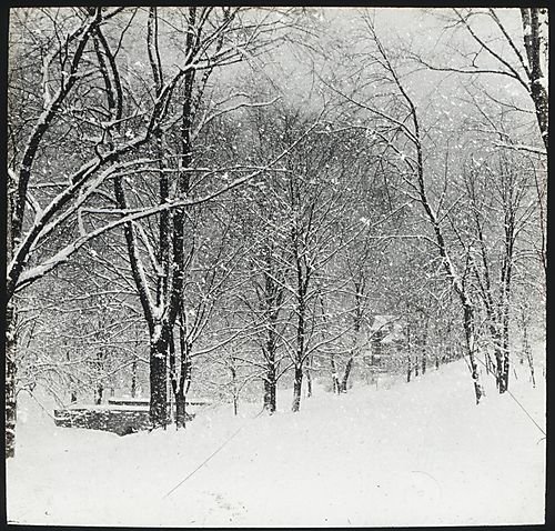 "Pennsylvania College for Women, Pittsburgh, Pa. Snow Scene."